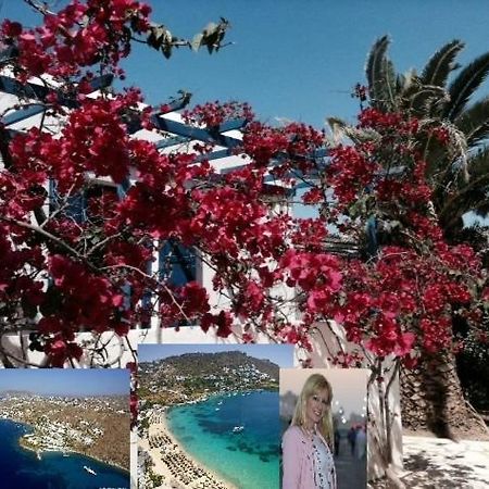 Magical Ornos! Beach House!Beach 1' Walk-Mykonos Town 2Km Exterior photo